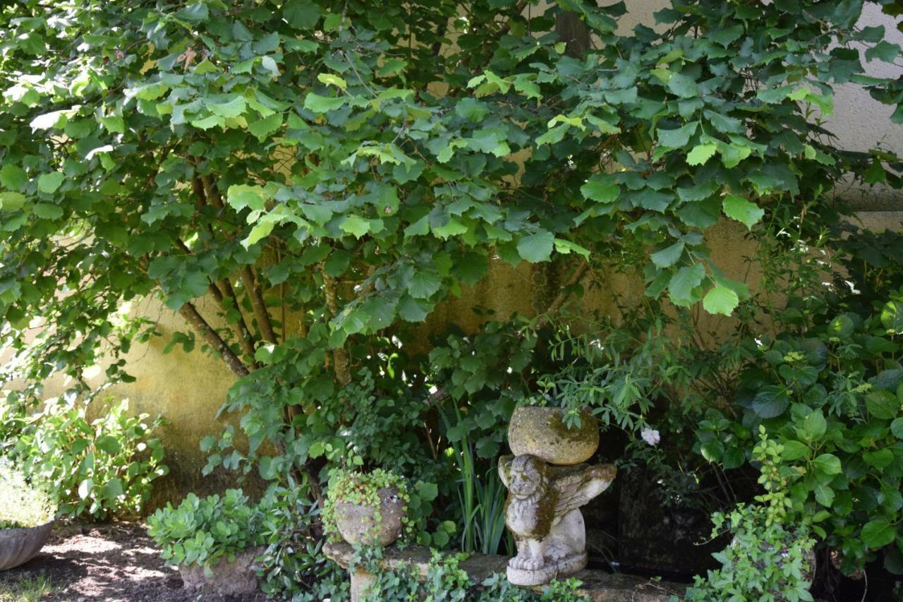Le Buisson-de-Cadouin L'Intemporelle B&B المظهر الخارجي الصورة
