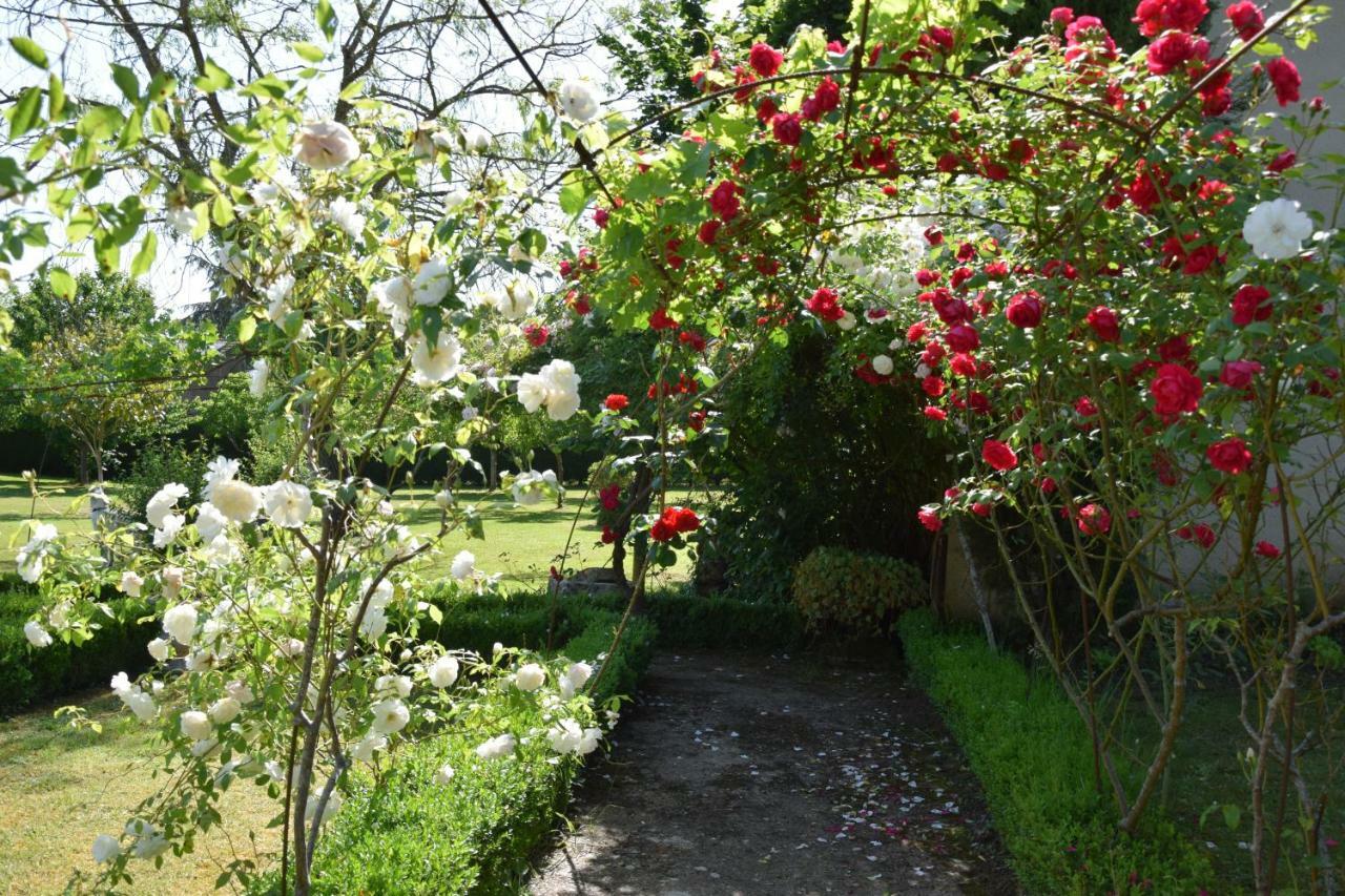 Le Buisson-de-Cadouin L'Intemporelle B&B المظهر الخارجي الصورة
