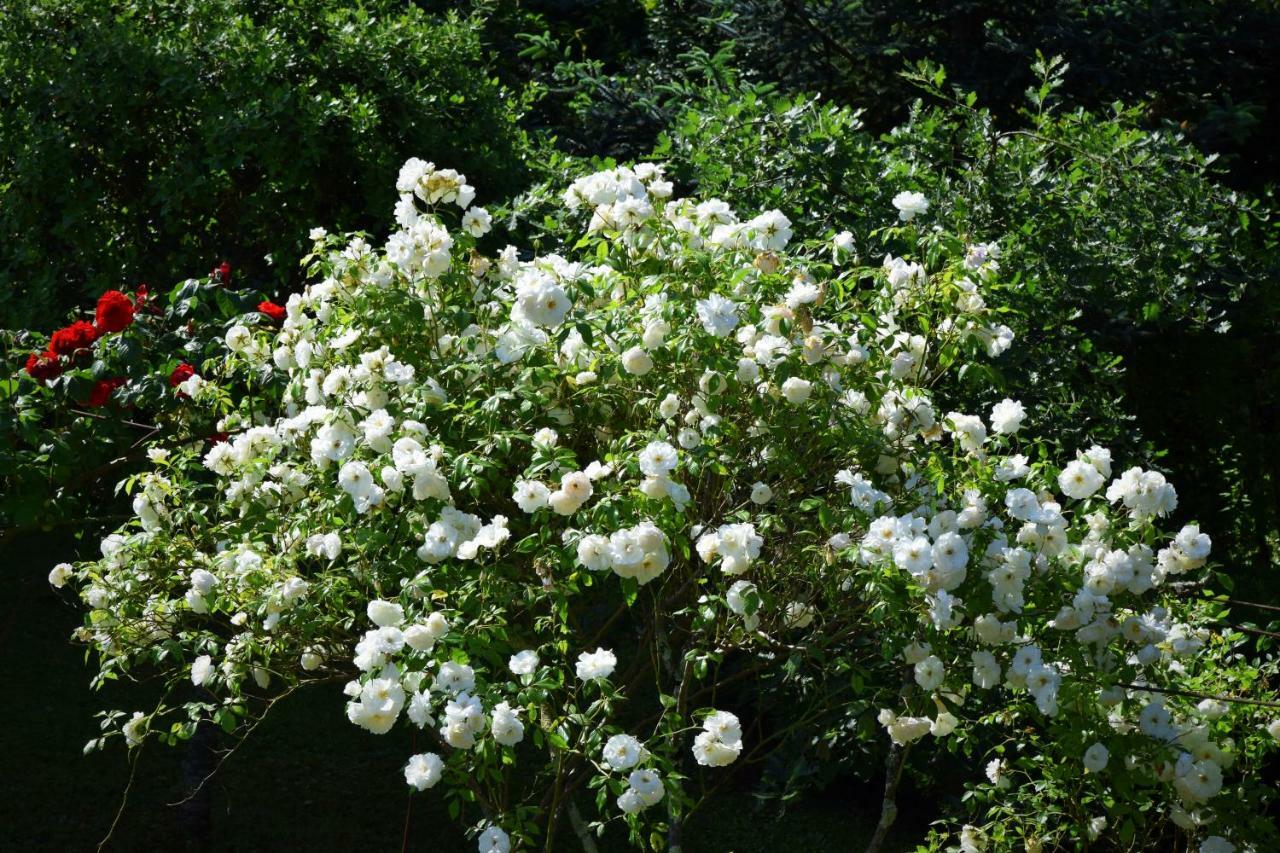 Le Buisson-de-Cadouin L'Intemporelle B&B المظهر الخارجي الصورة