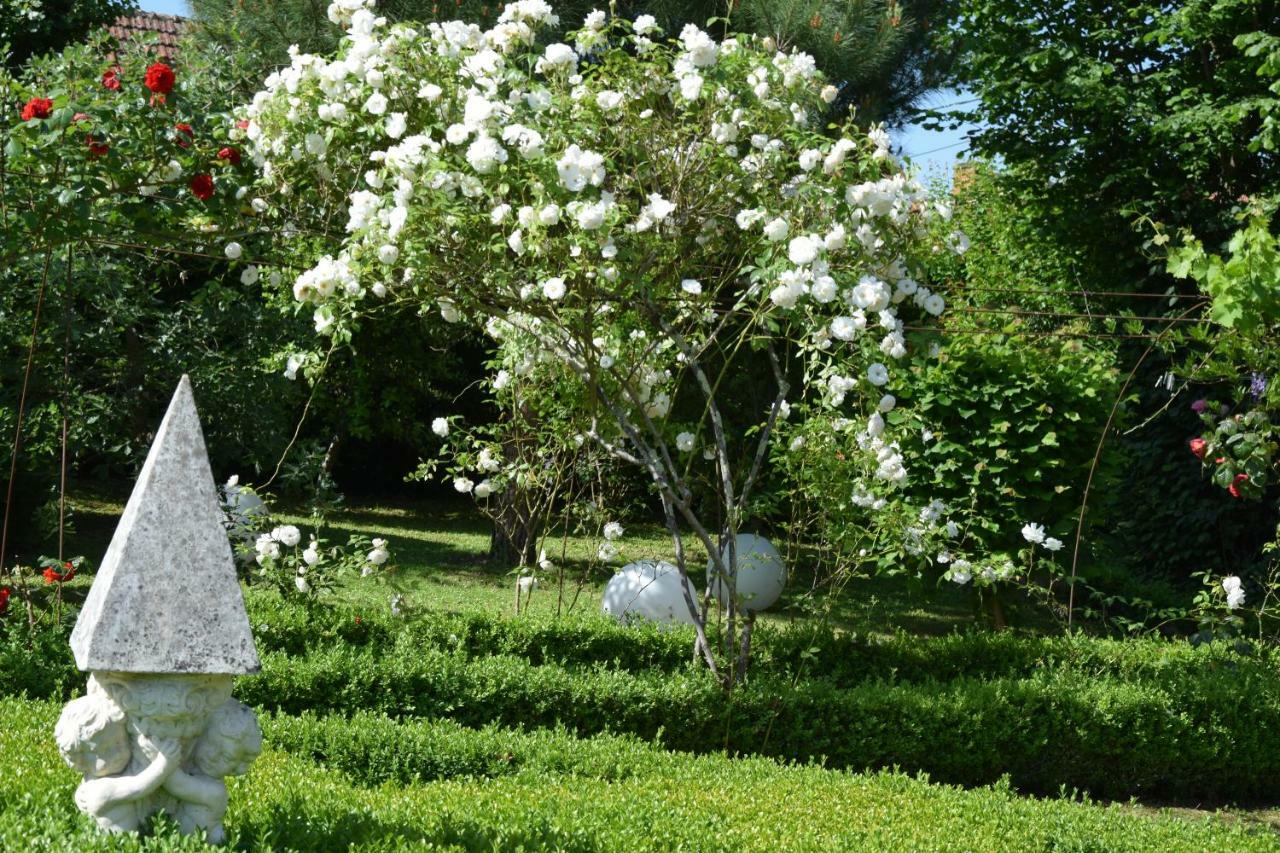 Le Buisson-de-Cadouin L'Intemporelle B&B المظهر الخارجي الصورة